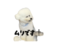 859328771