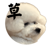 859328775