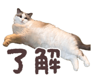 859329098