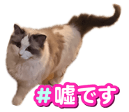 859329100