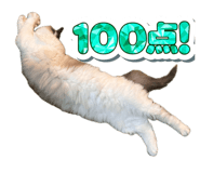 859329101