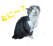 859329929