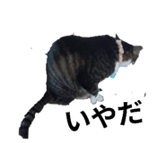 859329930