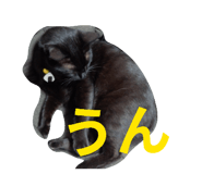 859329933