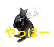 859329934