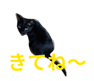859329936
