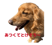 859330098