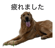 859330101