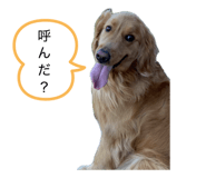 859330108