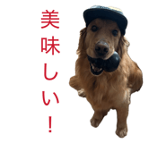 859330112