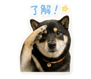 859330401