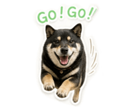 859330403