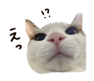 859330489