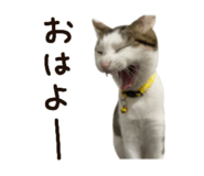 859330490