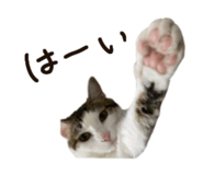 859330492