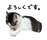 859330493
