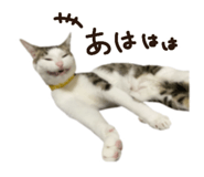 859330494