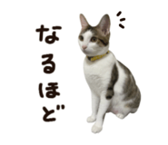 859330495