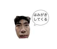 859331242