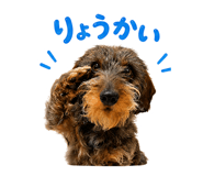 859331447