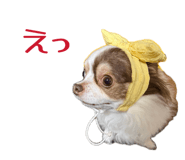 859331500
