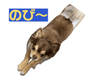859331502
