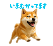 859331771