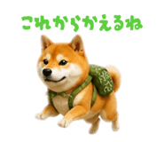 859331772
