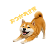 859331775