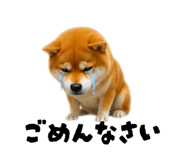 859331779