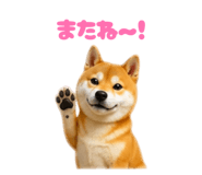 859331780