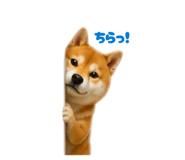 859331781