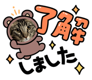 859332242