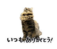859332254