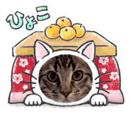 859332262
