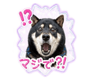 859332291