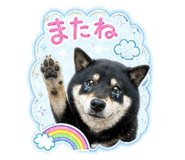 859332304