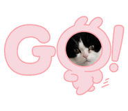 859332571