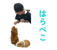 859332754