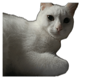 859333088