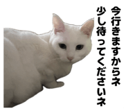 859333188