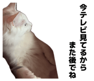 859333194