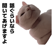 859333197