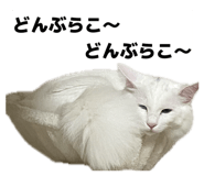 859333199