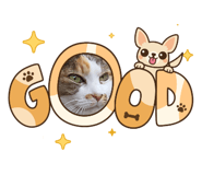 859333308