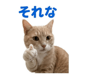 859333662