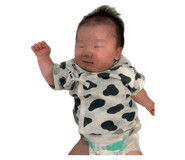 859334013