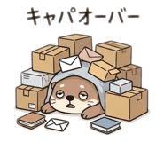 859334582