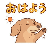 859335237