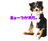 859336297